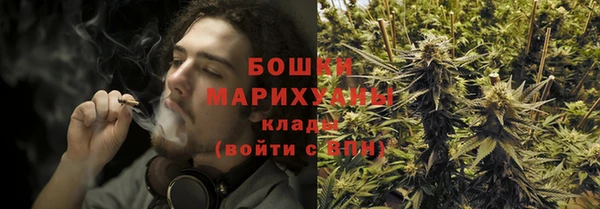 дживик Верея